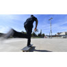 Skateboard Complet - ELEMENT - Rouge/Bleu