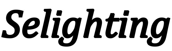 Selighting
