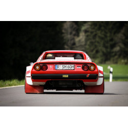 Ferrari 308 gtb rally
